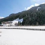 Pinzgau 1b Chalet *