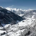 Chalet Pinzgau 1b Wald im Pinzgau