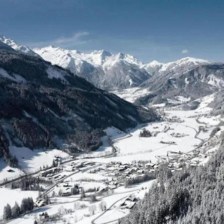 Pinzgau 1b * Wald im Pinzgau