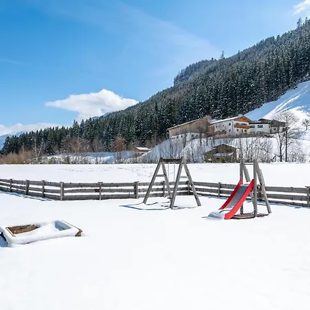 Pinzgau 1b