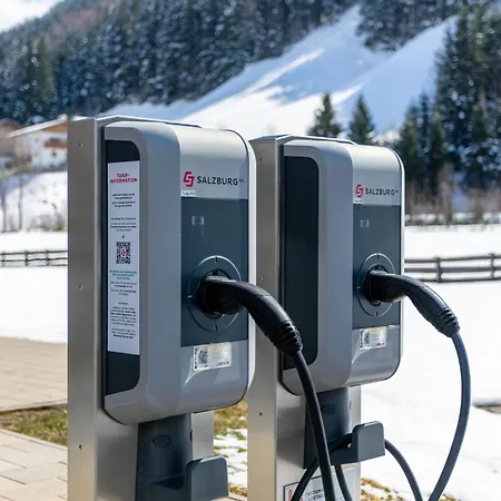 Pinzgau 1b 샬레 *